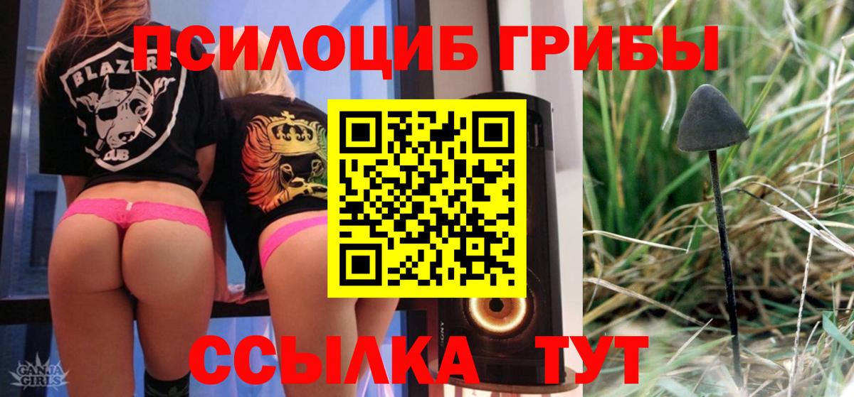 Галлюциногенные грибы GOLDEN TEACHER  Вход с VPN  Ярославль  Галлюциногенные грибы MAGIC MUSHROOMS 