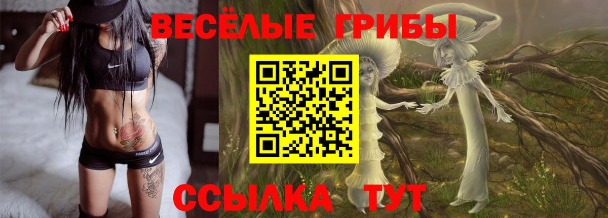 Галлюциногенные грибы мицелий Ярославль